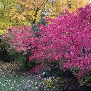 Meet your Posher, Deb